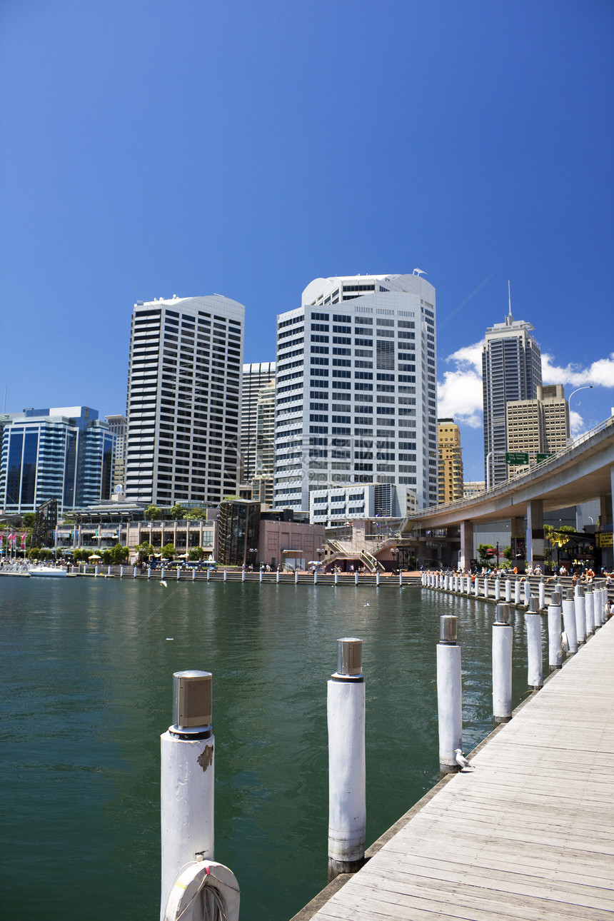 澳大利亚悉尼市风景运输海湾旅游港口码头船舶天际景观建筑旅行图片