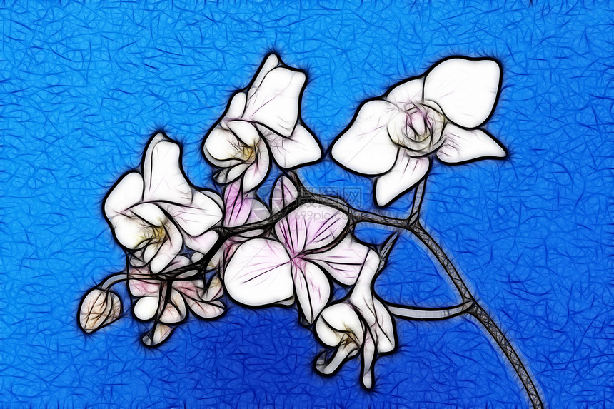 微度兰兰花印象派蓝色情调花束兰花紫色粉色热带植物群异国图片