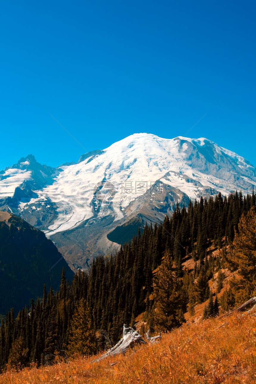 兰尼埃山活动高山草地森林风景国家树木火山远足苔原图片