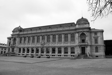 paris巴黎自然博物馆Paris纪念碑博物馆旅游花园动物学历史旅行建筑学植物文化背景