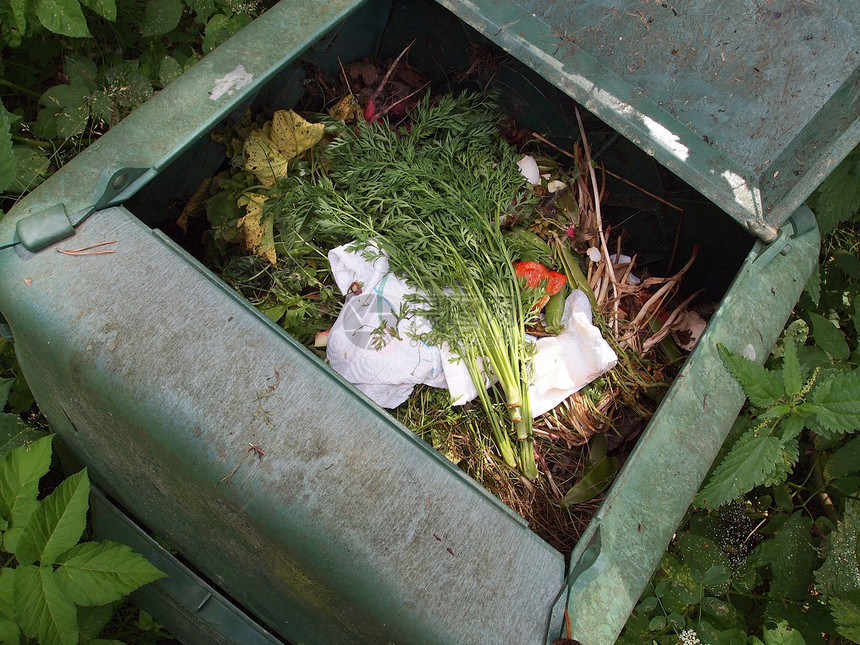 堆肥材料食物树叶环境植物花园图片