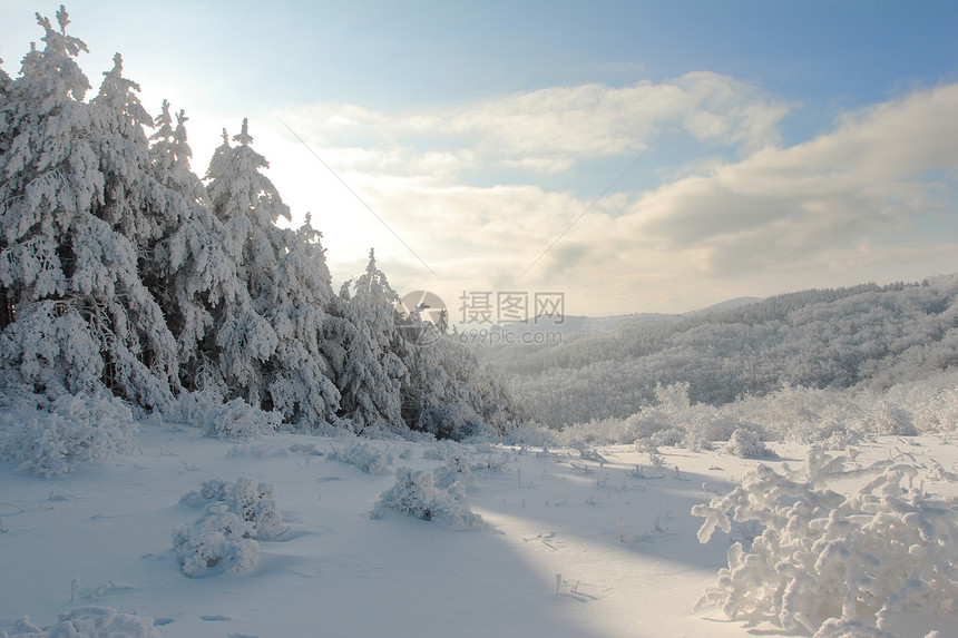 来自保加利亚的冬季克里斯底斯风貌雪花白色降雪森林季节场景天空风格卡片仙境图片