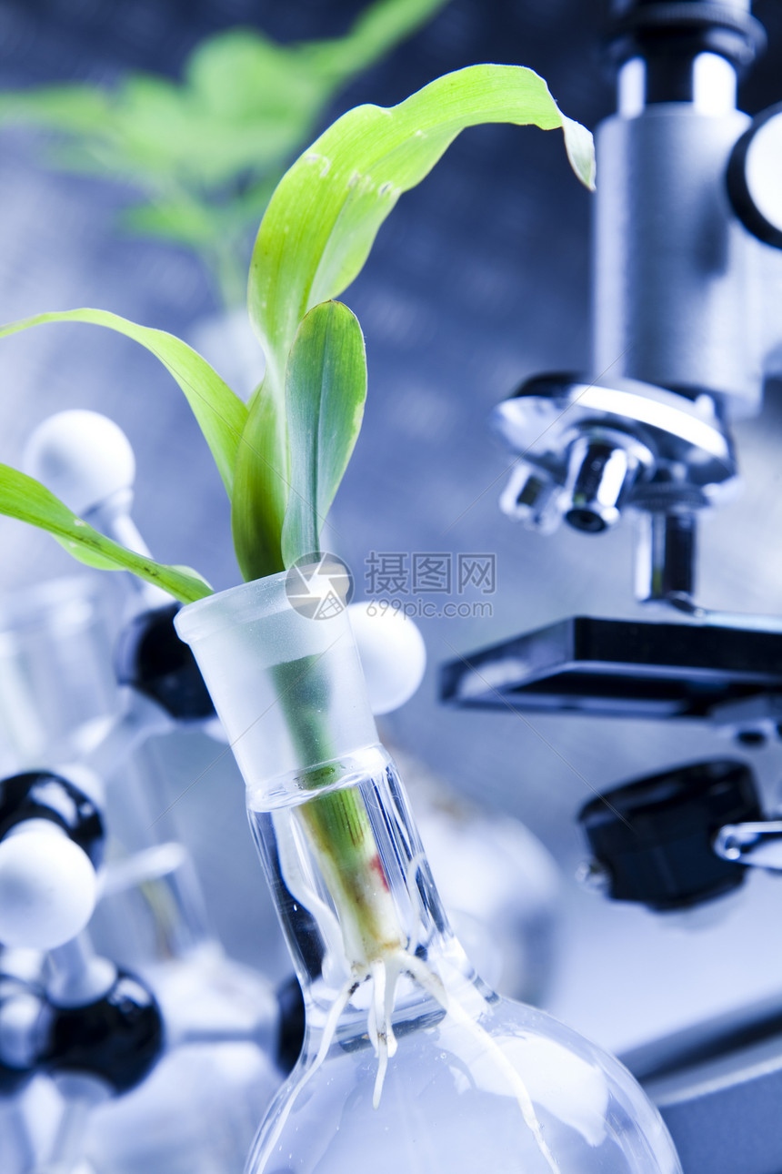 化验室化学品科学药品实验室生物玻璃学习生长化学植物图片