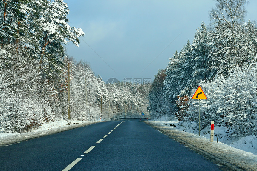 树林中间的白雪路图片