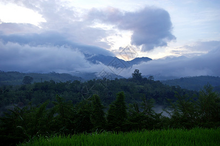 巴厘森林绿山高清图片