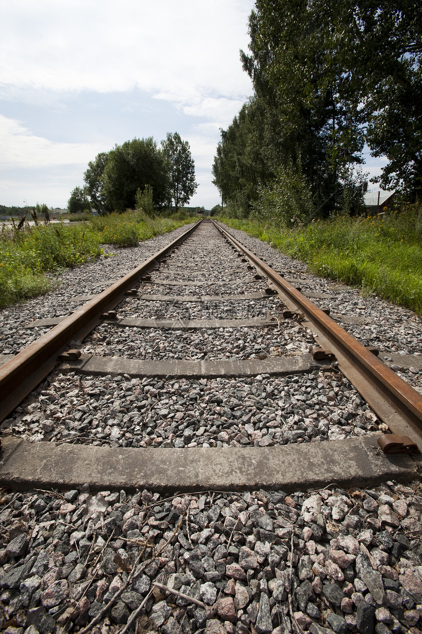 铁路铁路轨道水平曲线森林运输危险低角度金属前景风光道路图片