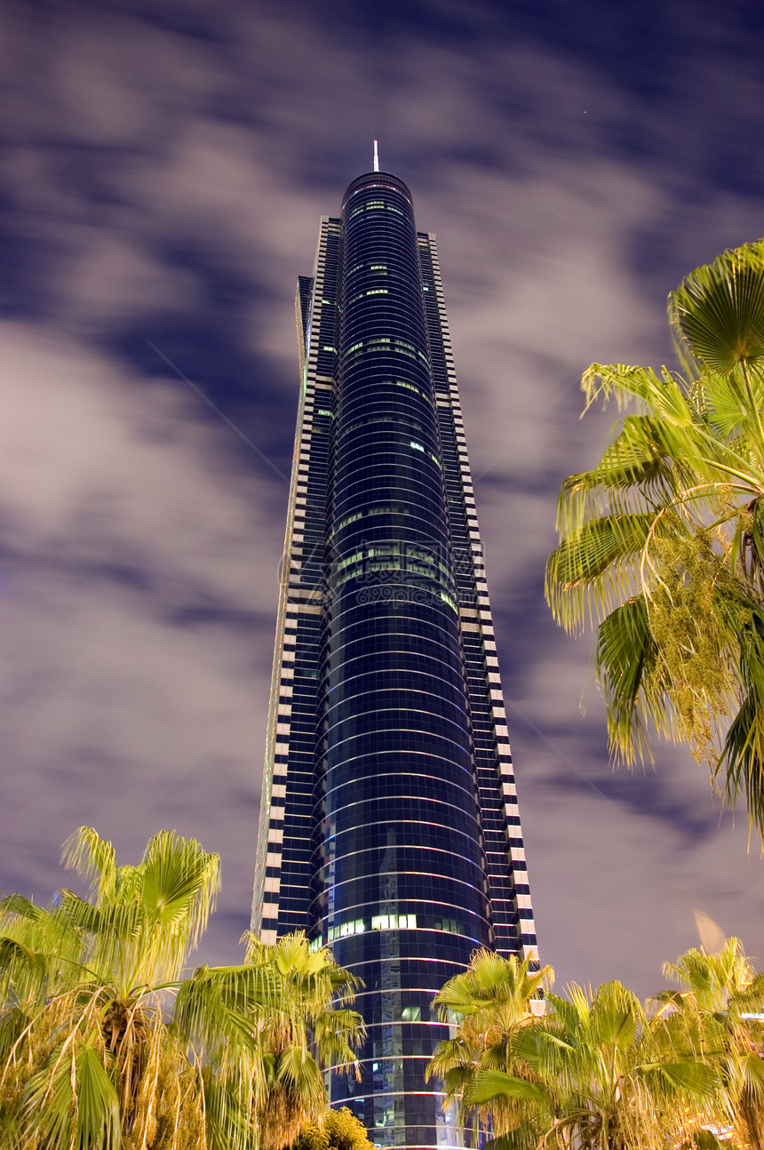夜里最高的摩天大楼棕榈建筑城市树木夜景图片