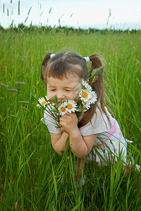 小女孩拥抱鲜花 - 甘菊背景图片