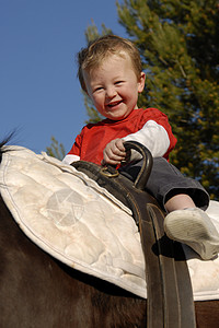 骑小男孩骑术骑马幸福闲暇孩子们孩子电压动物微笑运动背景图片