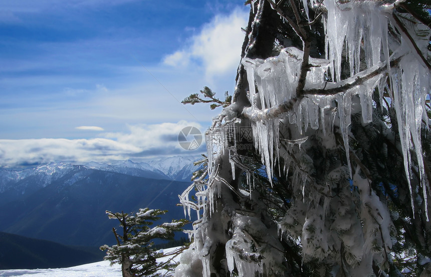 冻结远足山峰天空雪峰寒冷高地公园树木蓝色踪迹图片