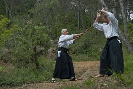 Aikido 师资培训瞳孔专注说明成人武士格斗运动操作男人森林背景图片