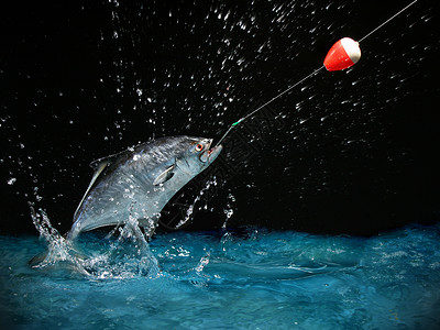 夜里钓大鱼装置捕鱼鳟鱼渔夫惊喜运动跳跃波浪浮标低音背景图片