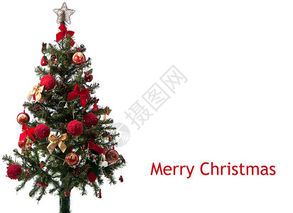 圣诞树松树白色红色明信片金子绿色星星背景图片