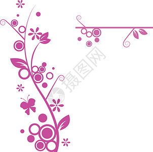 花花设计插图衬套网站植物学植物边框曲线旋转花园宏观背景图片