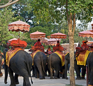 大象阴影佛陀旅行建筑观念地标信仰石头宗教世界背景图片