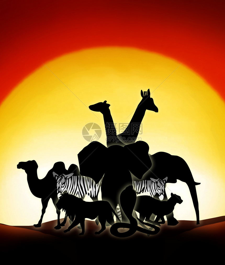 撒哈拉沙漠日落天空猎豹寂寞动物故事晴天孤独野生动物骆驼图片