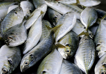 鱼类食物食品维生素节食餐厅柜台钓鱼午餐鲭鱼熟食食用高清图片素材