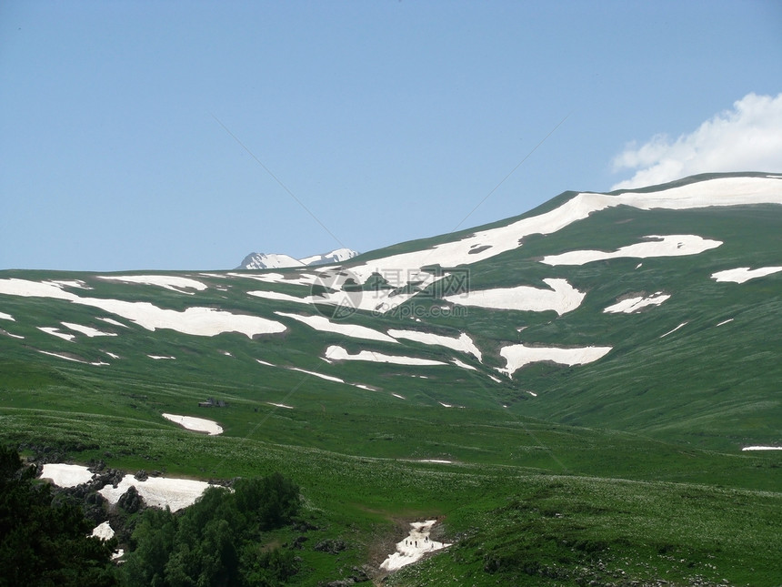 山脉植物高山青菜花朵旅行旅游天空斜坡植物群全景图片