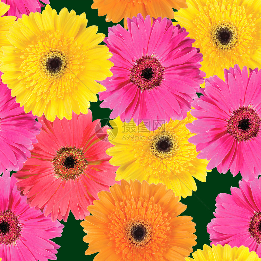 粉红色 黄色和橙色花的背景图片