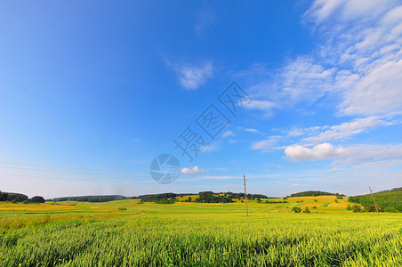 AlbSwabian alb的夏日野花蓝天乡村草地场地生长农业背景