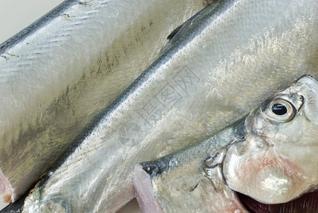 鲜鱼海鲜带鱼皮肤反光眼睛背景图片