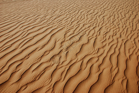 无尽沙漠沙丘沙沙无尽的海背景