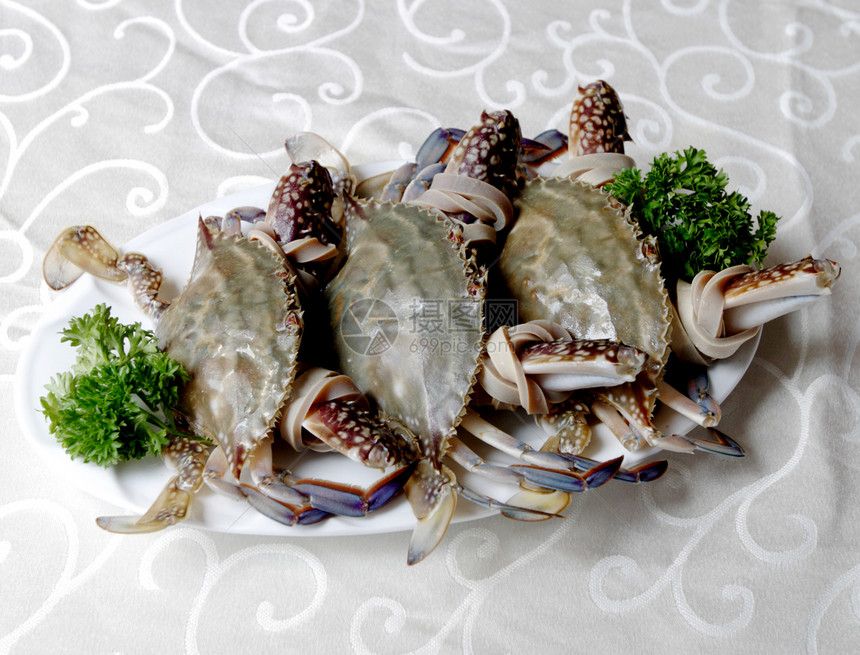 中国菜 中餐绿色海鲜素食宴会美味烹饪食物贝类蔬菜佳肴图片