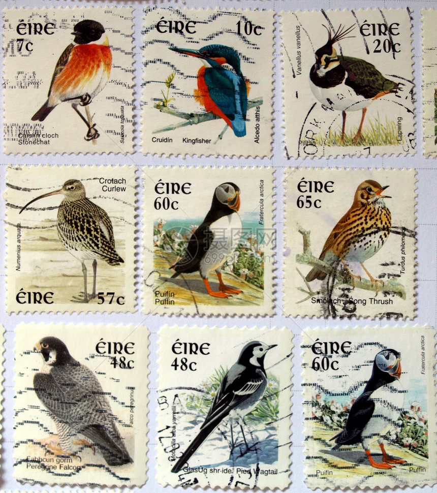 爱尔兰邮票信封空邮石聊鸟类船运空气游隼橡皮邮政鹡鸰图片