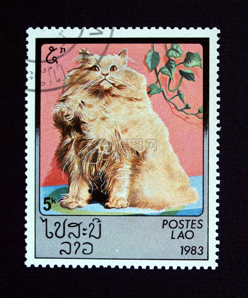 老挝有猫的印章商业小猫信封仪表船运虎斑邮资空气空邮邮件图片
