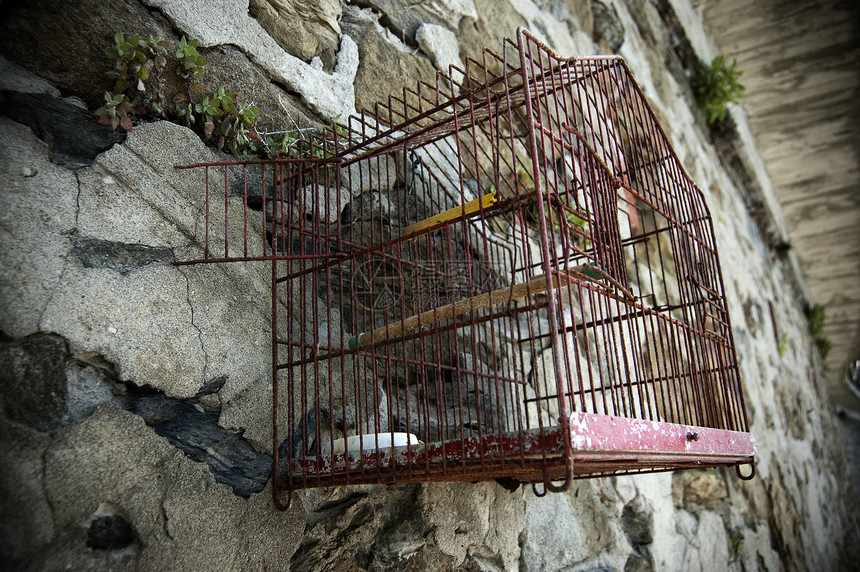 红笼笼子鸟笼古董孵化俘虏红色自由石头金属监狱图片