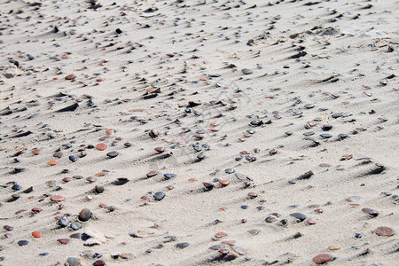 海滩上沙石沙的纹理背景图片