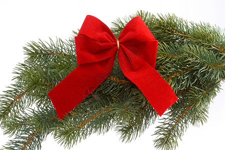 卡通圣诞树枝红礼礼带松树小枝季节宏观白色礼品展示红色丝带绿色背景