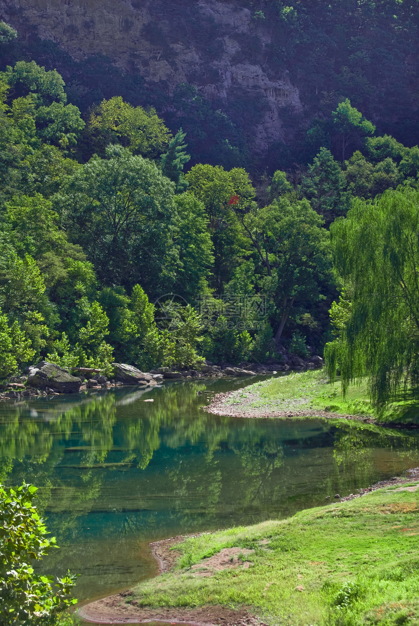 在水边的柳柳溪流绿色森林垂柳银行蓝色岩石图片