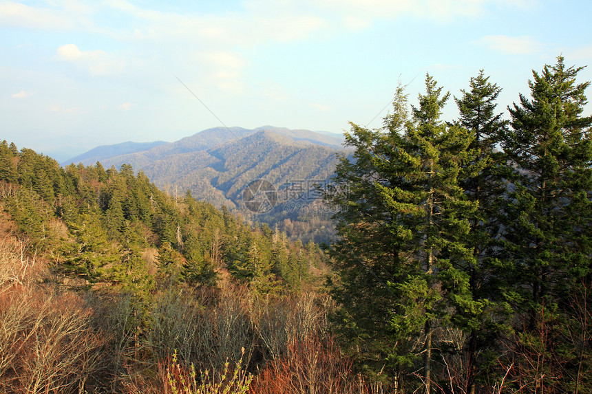 烟雾山区国家公园环境场景松树顶峰公园远足季节树叶大路地球图片