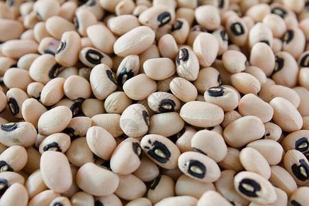 黑眼豆食物手工饮食种子豆类背景图片