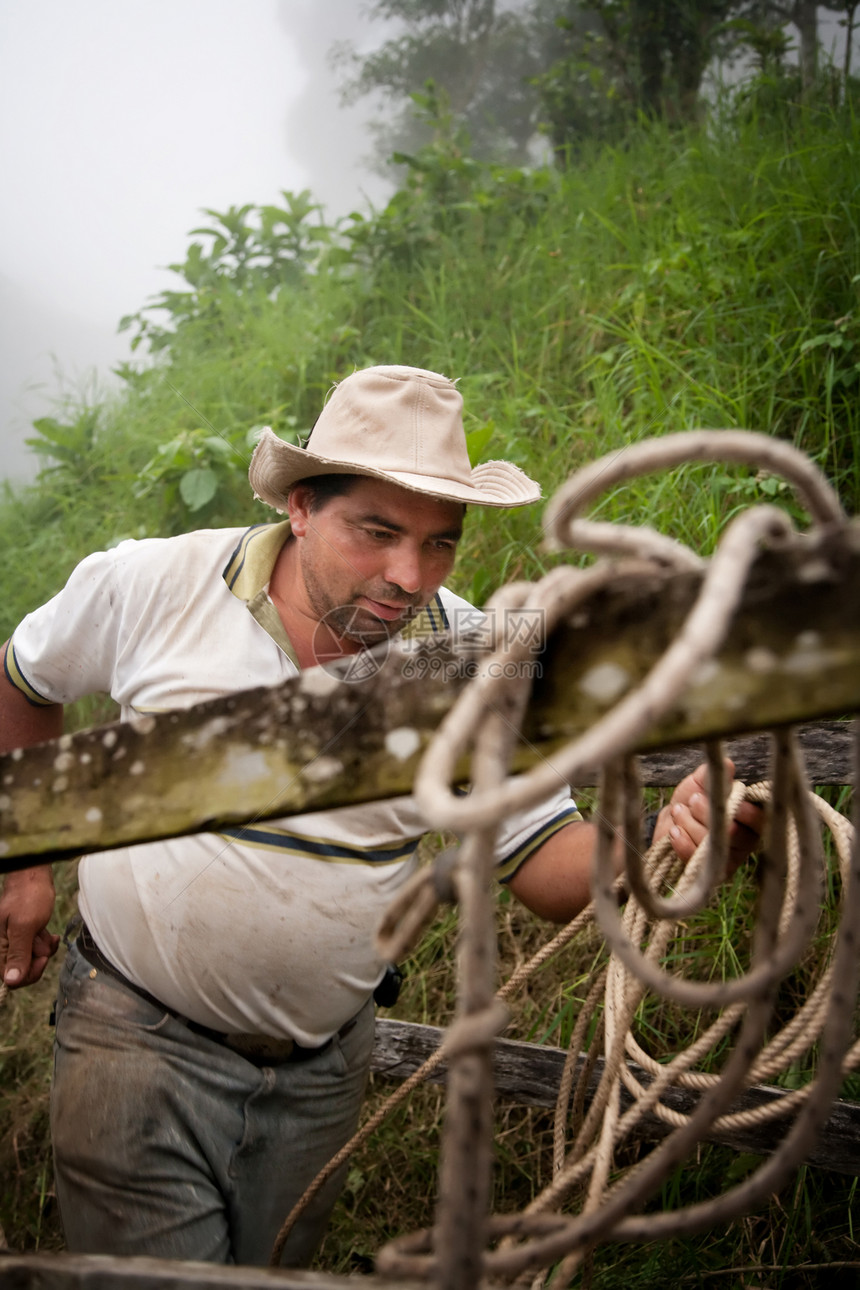 哥斯达黎加牧场的手男人森林哺乳动物丛林工人牧场主国家成人弯刀牛仔图片
