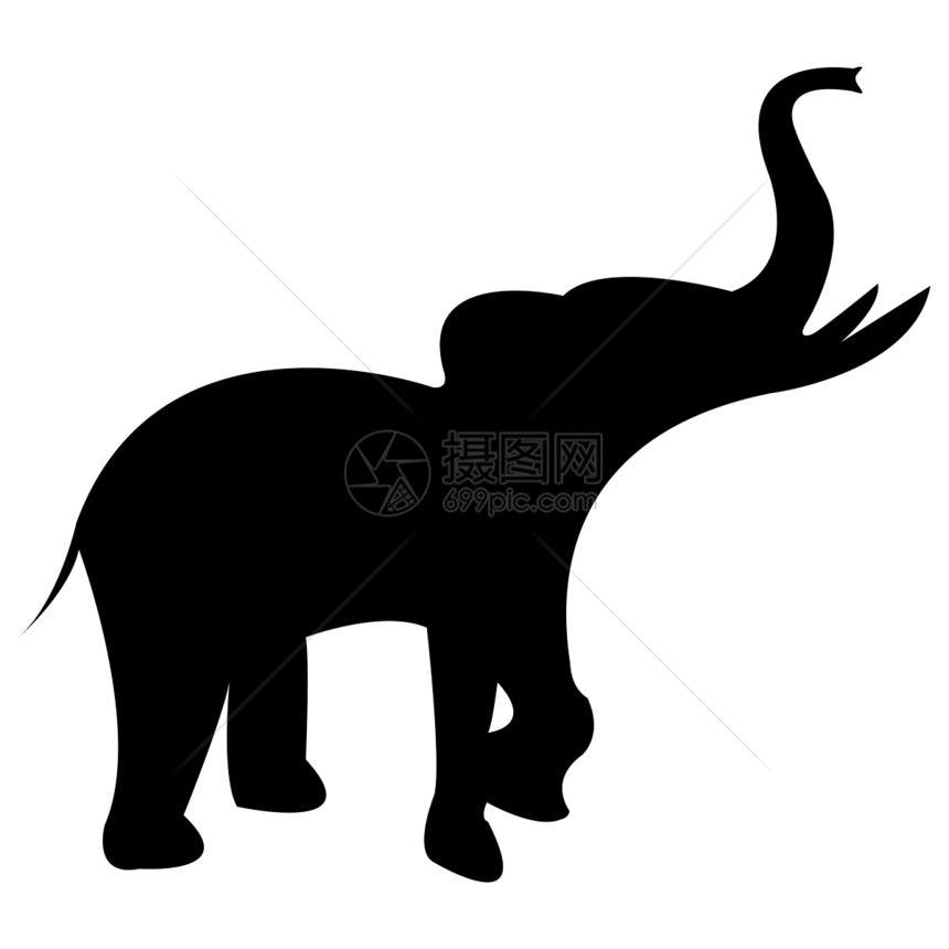 黑色大象的黑光影 白色上被孤立荒野灰色獠牙野生动物耳朵健康厚皮眼睛男性树干图片