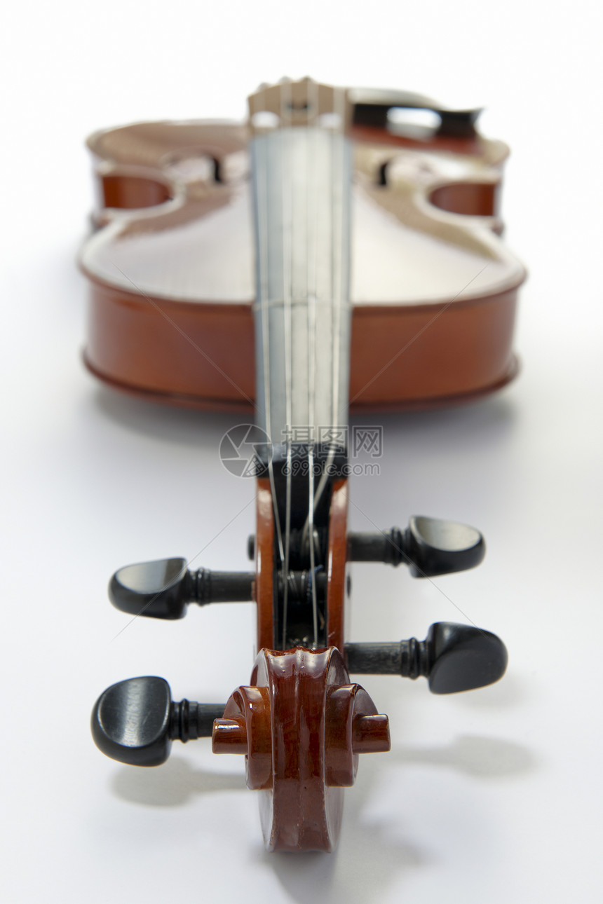 维奥拉滚动小提琴独奏者焦点乐器字符串乐队钉盒云杉高架图片