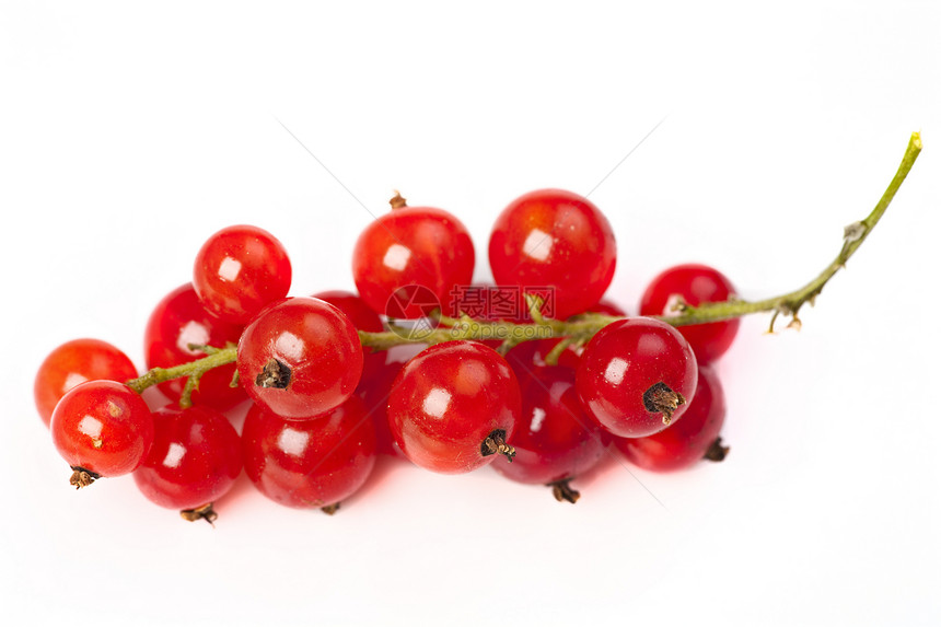 白色背景上的红色曲线宏观水果食物浆果盘子甜点图片