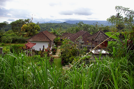 巴厘农村村热带基丹高清图片