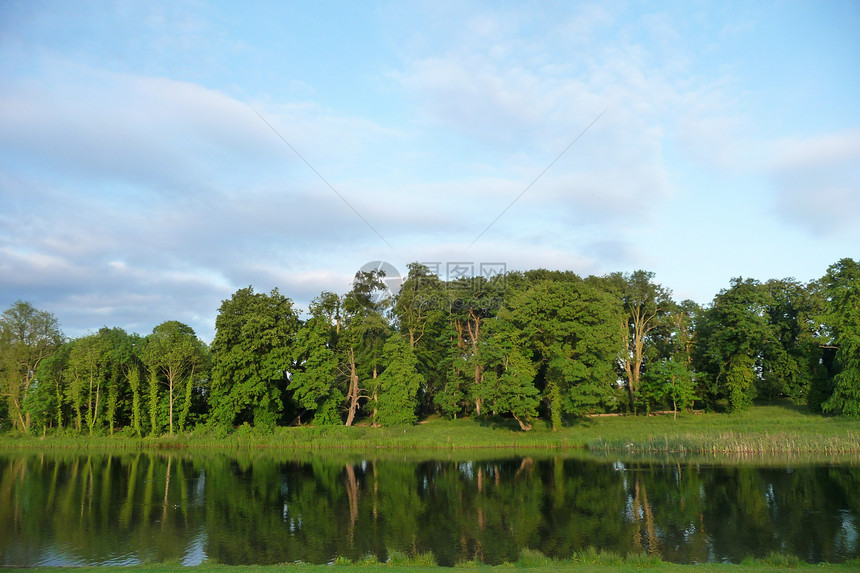 利迪亚公园的树木之湖景农村公园环境生长季节生态草地植物反射液体图片
