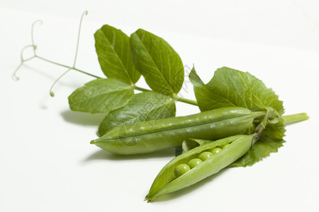 新鲜豌豆花园绿色宏观食物白色蔬菜背景图片