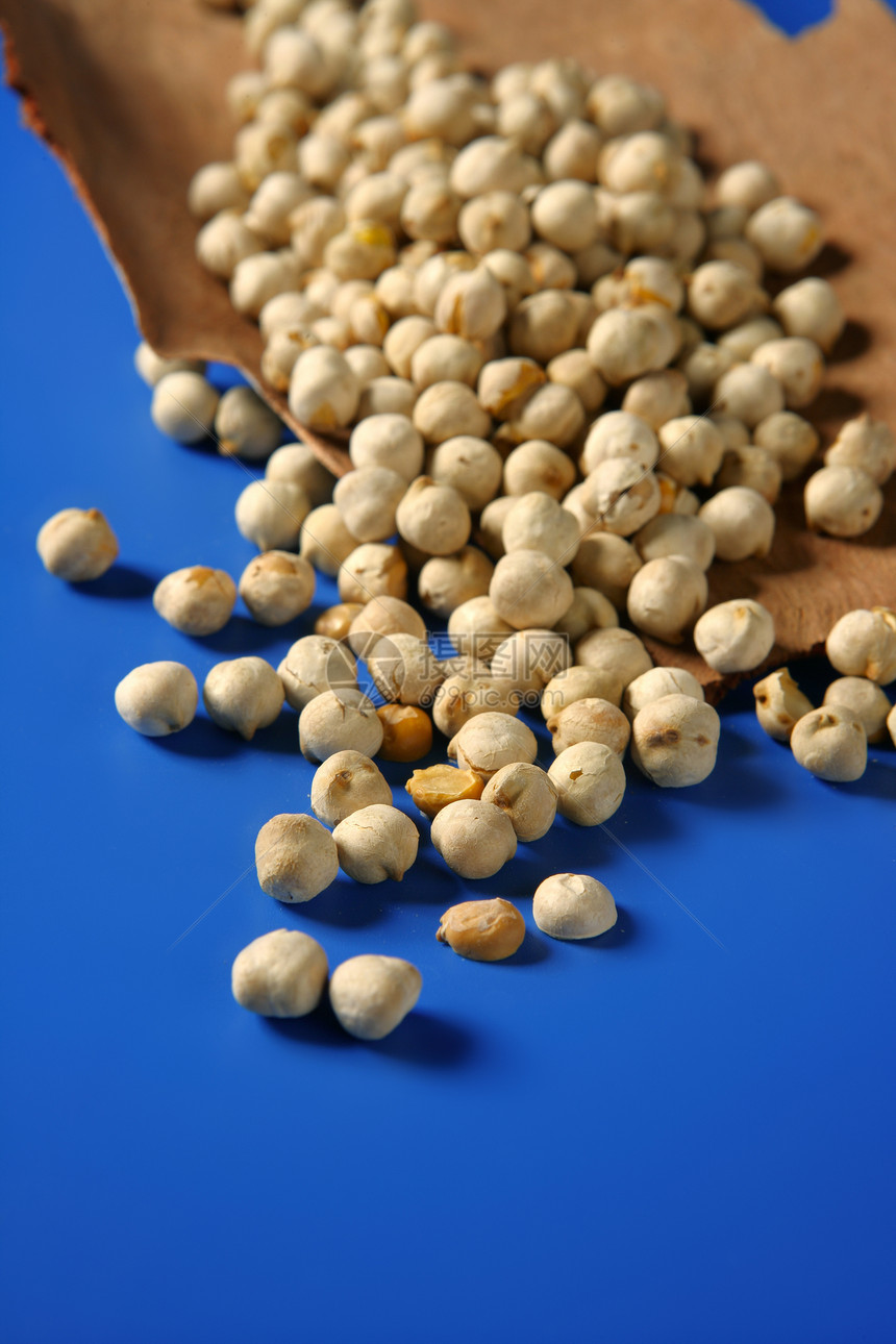 Chickpeas 仍然分布在蓝色背景中粮食食物纤维蔬菜营养饮食农业豆类团体种子图片