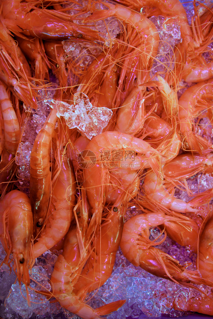 橙虾 大虾 甲壳类及冰面盐水饮食营养美食钓鱼团体旅行奢华动物对虾图片