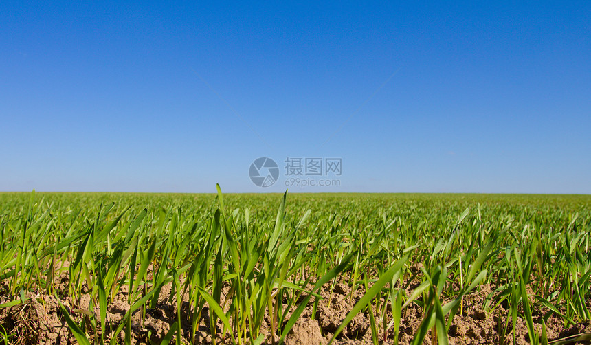 绿绿地草地天空场地绿色图片