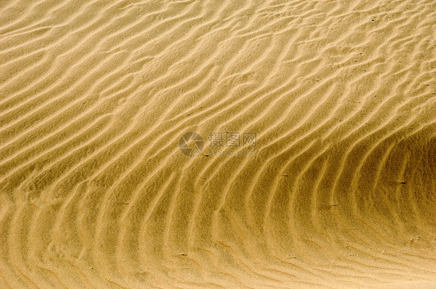 沙沙形态砂砾太阳沙丘曲线晴天碎石旅行海浪沙漠波纹图片