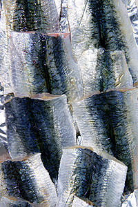 市场上销售的沙丁鱼片皮质海洋钓鱼牛扒烹饪饮食海鲜美食午餐鱼片营养抓住高清图片素材