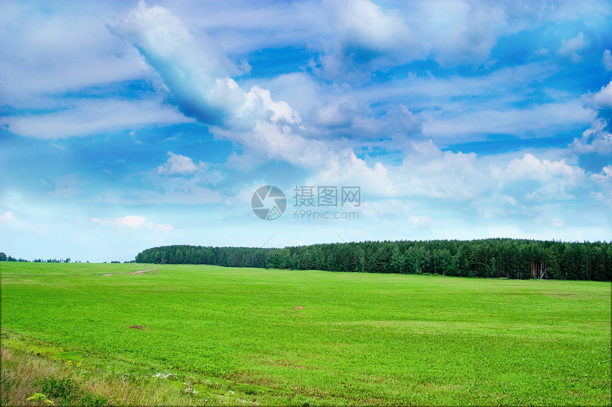 夏季风景农田生长季节农业场地村庄叶子牧场草原草地图片