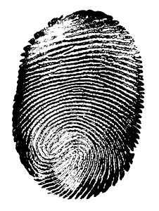 指纹树指纹调查鉴别犯罪生物签名油漆手指探测工艺身份背景