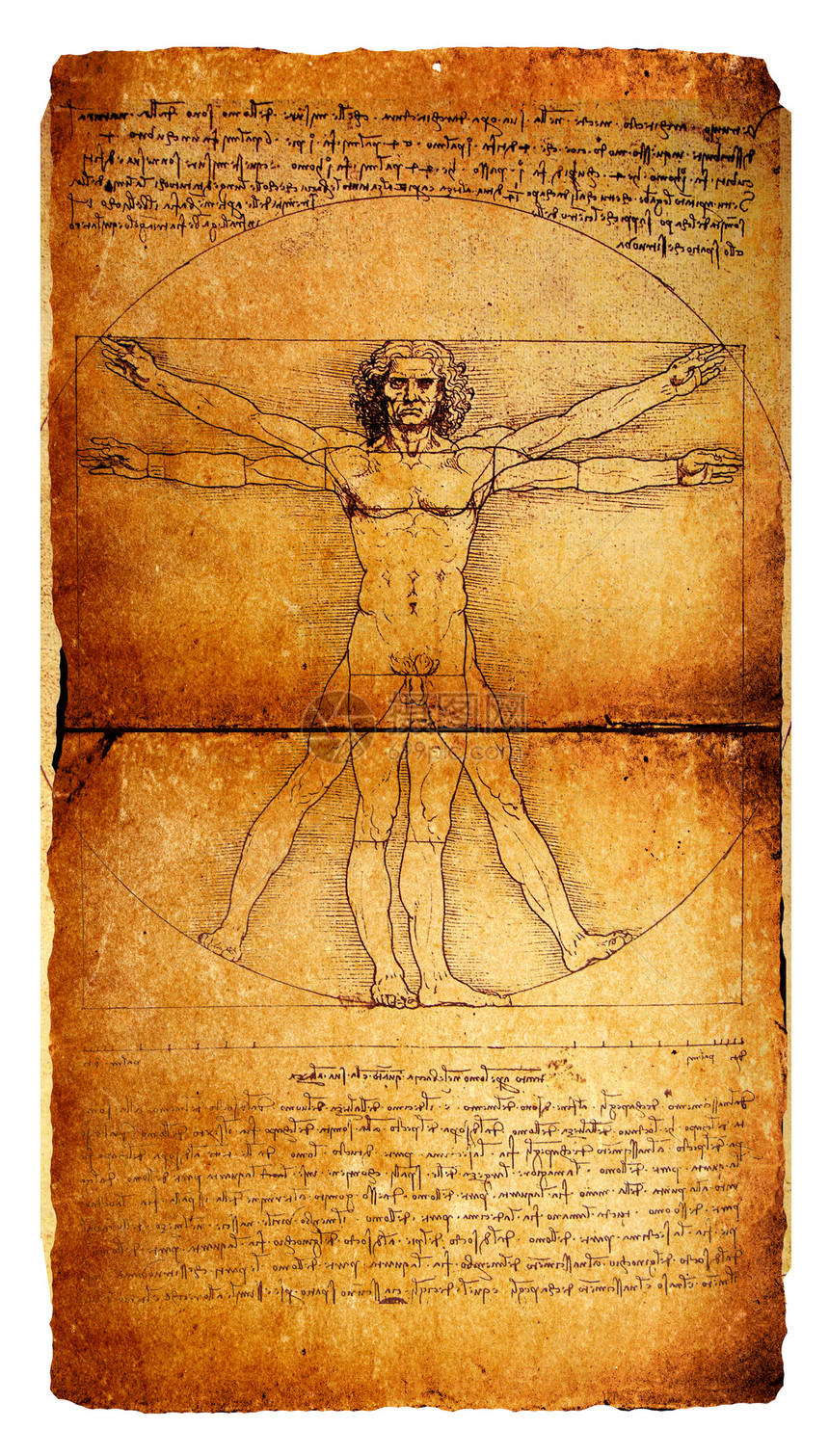 人马男人场地绘画解剖学身体正方形金属建筑学生物学装饰品图片